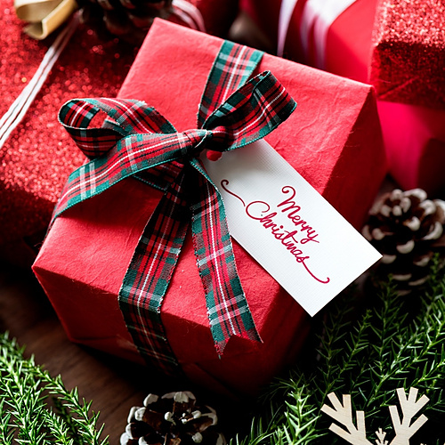 Red Christmas gift wrapped with tartan ribbon and a Merry Christmas tag, surrounded by pinecones and fir sprigs.